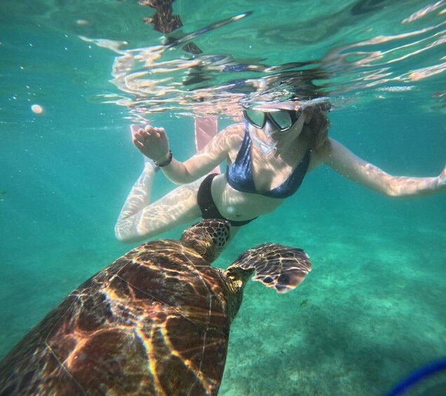 Picture 2 for Activity Mirissa: Unforgettable Snorkeling Experience with Turtles 3
