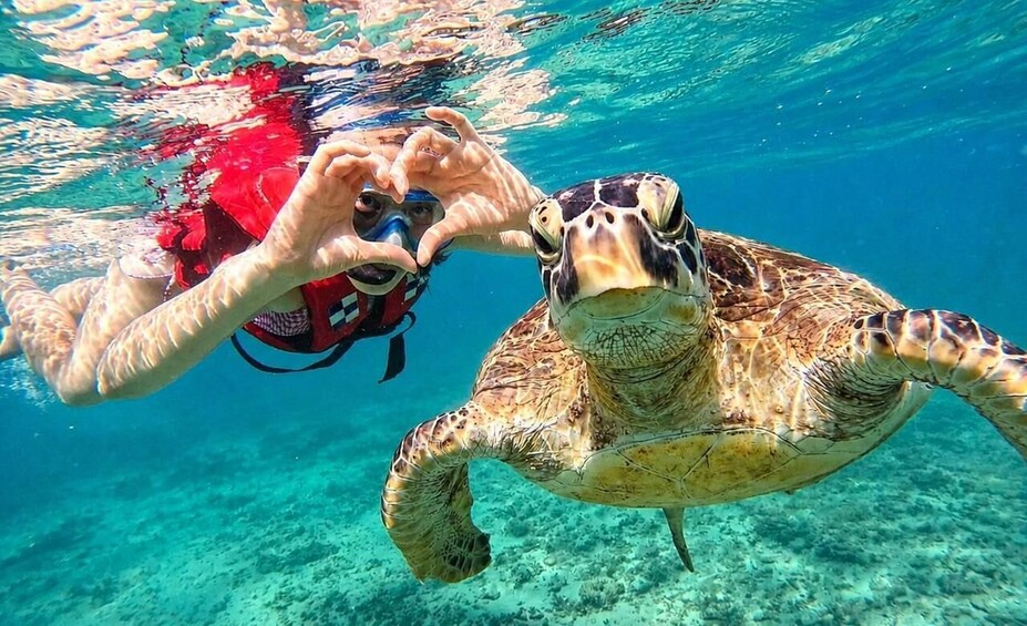 A person underwater with a sea turtle. 1