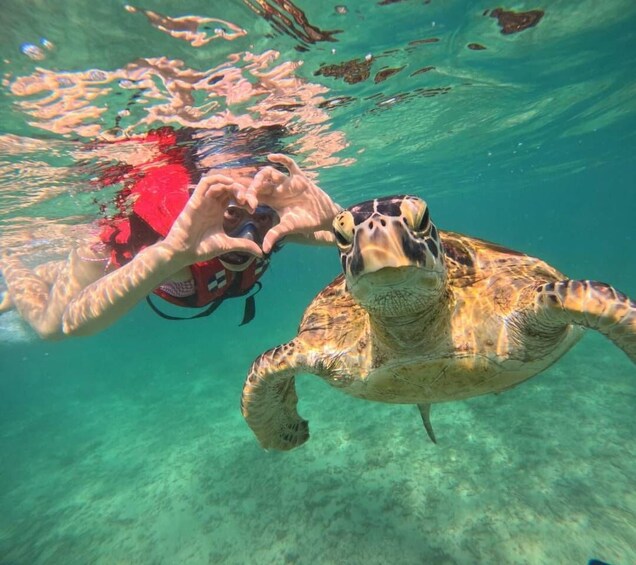 Mirissa: Unforgettable Snorkeling Experience with Turtles 1