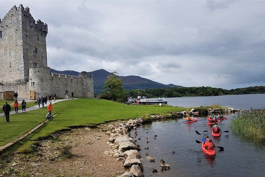 Private guided Kayaking in the Killarney Lakes from Ross Castle 3