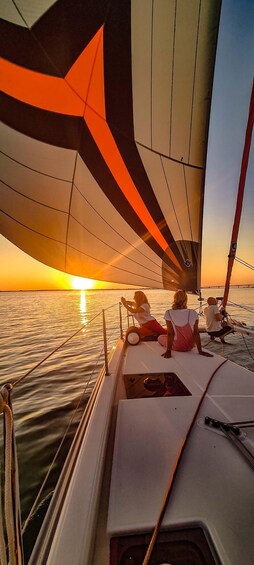 Picture 5 for Activity Exclusive sailing catamaran cruise tour departing from La Rochelle 4