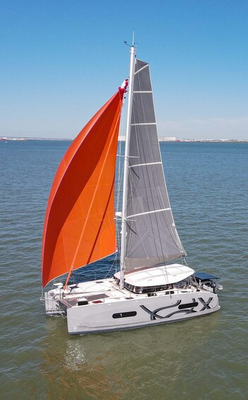 Picture 4 for Activity Exclusive sailing catamaran cruise tour departing from La Rochelle 3