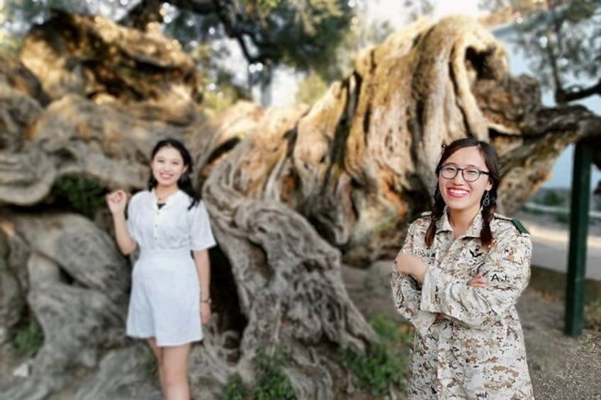 Two people standing in front of a large tree with twisted roots. 2