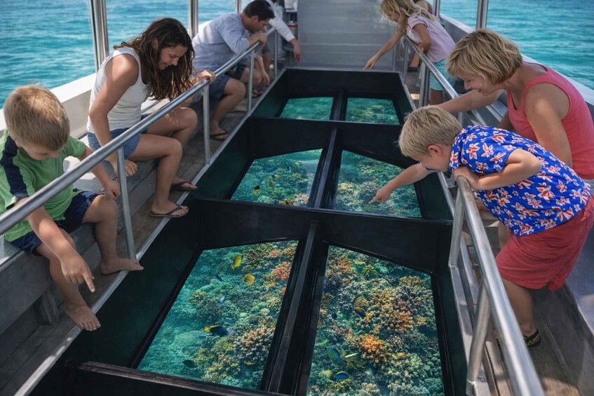 Bali: Sanur 1 Hour Glass Bottom Boat Experience 1