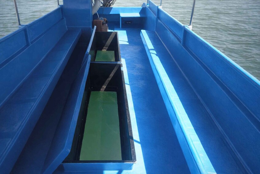 Picture 2 for Activity Bali: Sanur 1 Hour Glass Bottom Boat Experience 1