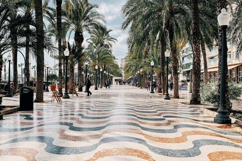 Alicante City Center Cycling Tour Small Group 3