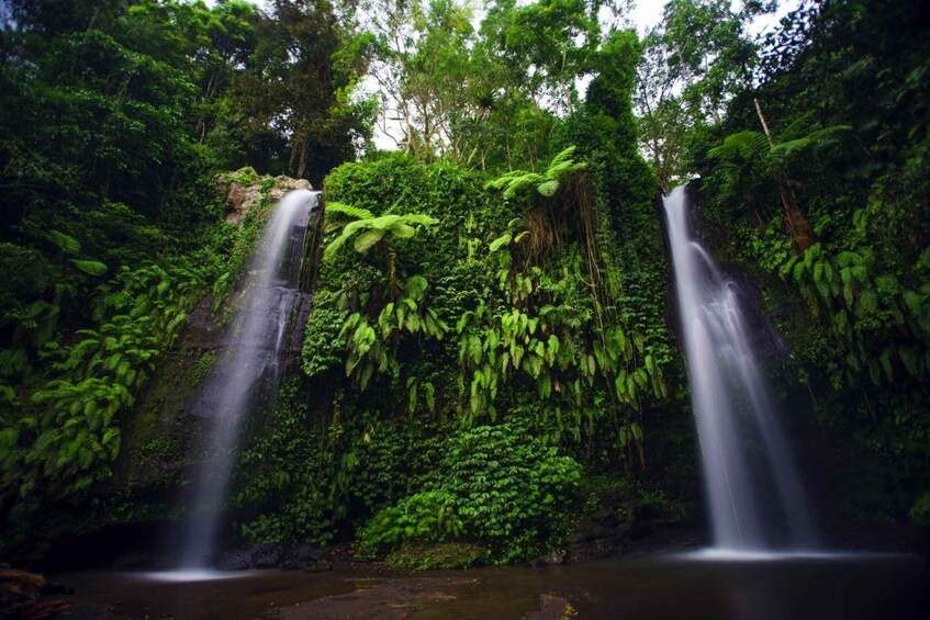 Picture 5 for Activity Lombok: Benang Kelambu & Benang Stokel Waterfalls Tour 5
