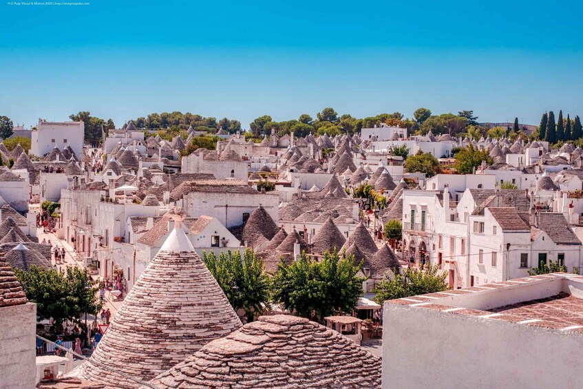 Picture 2 for Activity Authentic Alberobello: guided walk among the trulli 2