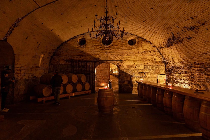A dimly lit underground cellar with wooden barrels, a chandelier, and stone walls. 3