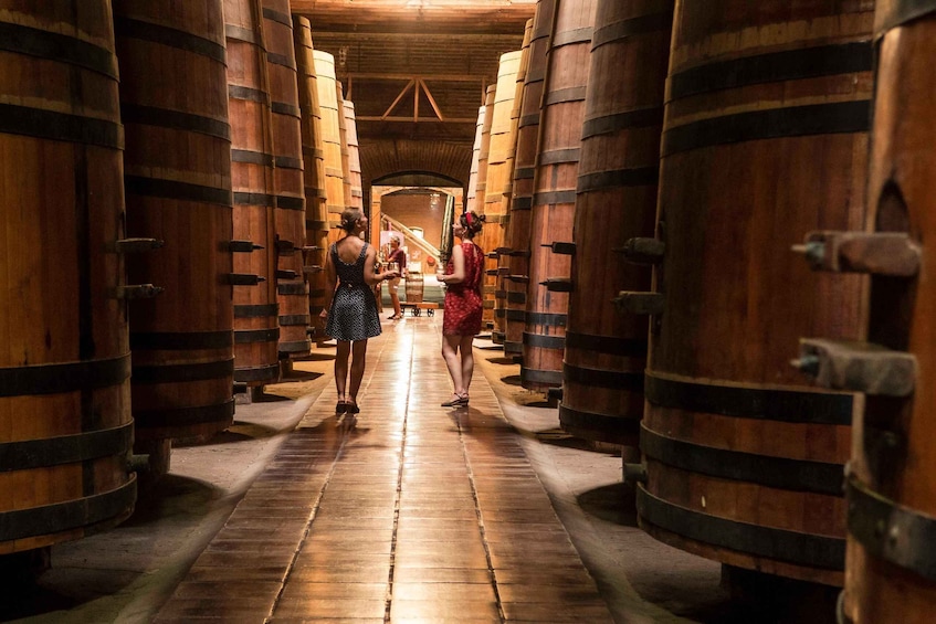 A corridor lined with wooden barrels, leading to a central area with a staircase. 1
