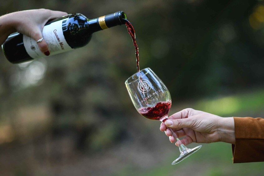 A person pouring red wine from a bottle into a glass. 5