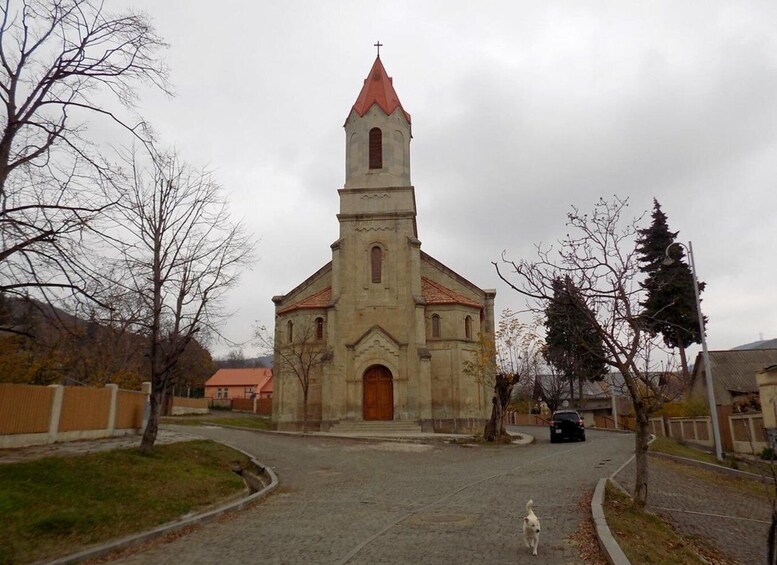 Picture 8 for Activity From Tbilisi: Dashbashi Canyon and diamond bridge Day Trip 3