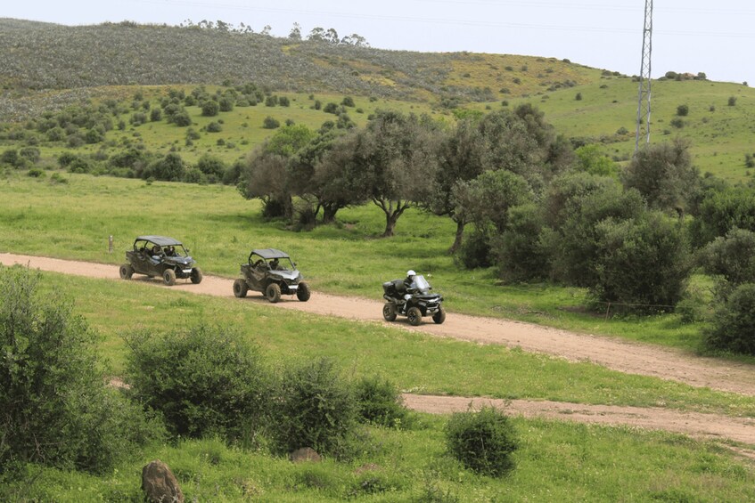 Lagos: Algarve Countryside Buggy Tour 1