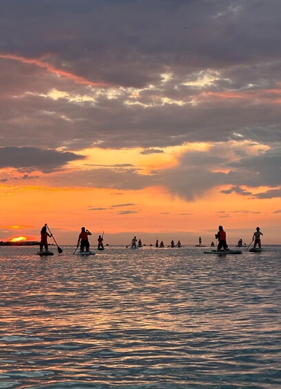 Picture 12 for Activity Sunrise/Sunset Paddlesurf unique Experience with Photos 3