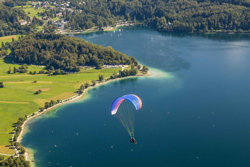 Picture 2 for Activity Lake Bohinj Tandem Paragliding Flight from Vogar 5