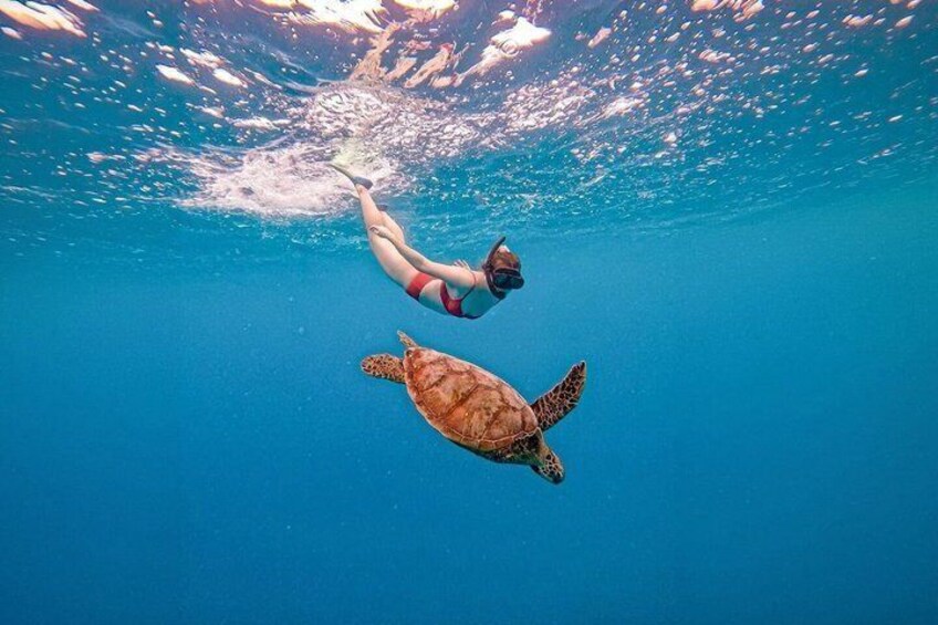 Private Snorkeling Adventure in Mirissa with GoPro and Transfers 1