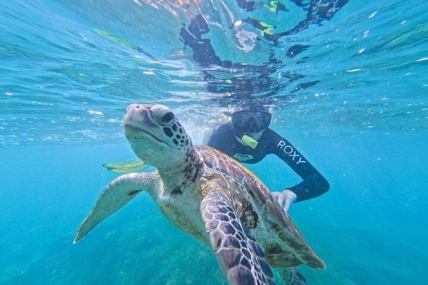 Private Snorkeling Adventure in Mirissa with GoPro and Transfers 2