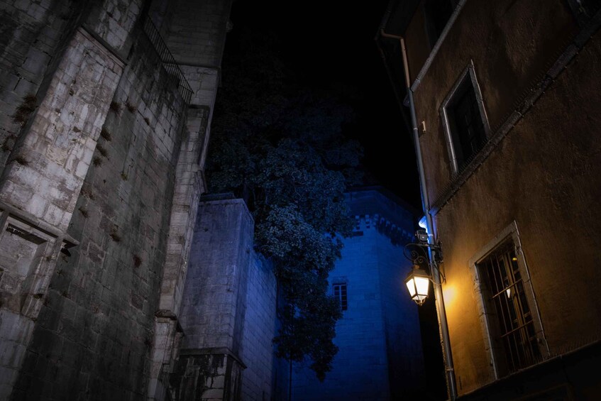 Picture 8 for Activity Guided Night Tour of Chambéry – City of the Dukes of Savoy 5