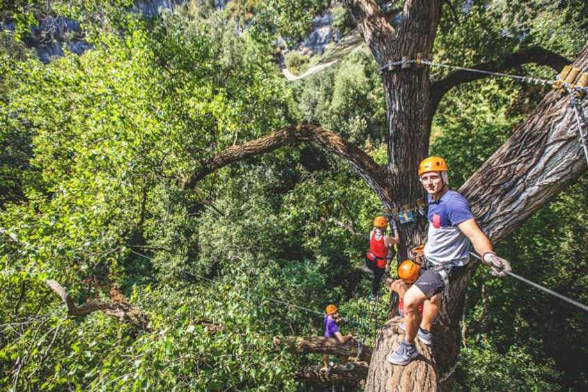 Picture 6 for Activity Nice: Adventure park in an exceptional natural setting 3