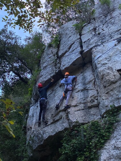 Picture 1 for Activity Nice: Adventure park in an exceptional natural setting 4