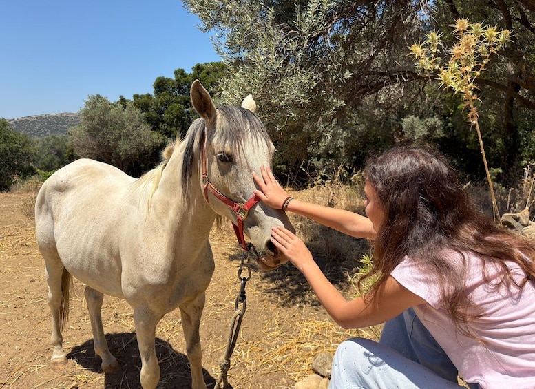 Picture 14 for Activity Naxos – Tragea: Farm Experience with Animals, Herbs, and Local Flavors 2