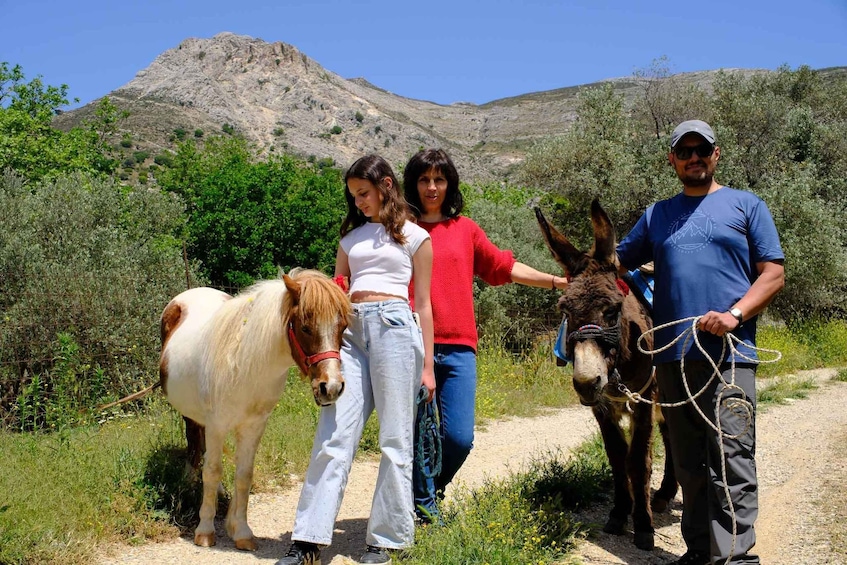 Naxos – Tragea: Farm Experience with Animals, Herbs, and Local Flavors 1