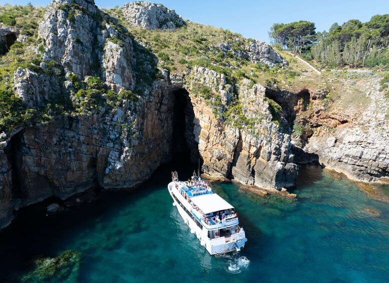 Picture 1 for Activity From Castellammare: Zingaro, Scopello and San vito Lo Capo 3