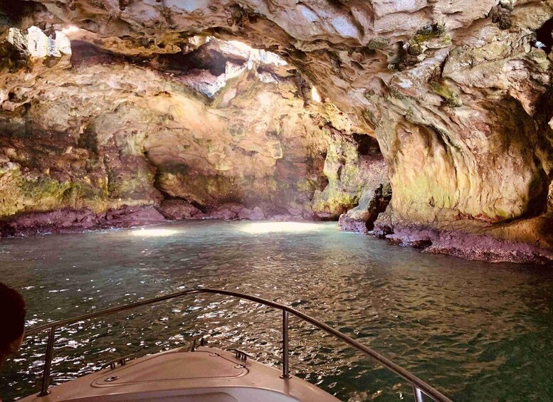Picture 13 for Activity From Monopoli: Boat ride with snorkeling and free time in Polignano a Mare 5