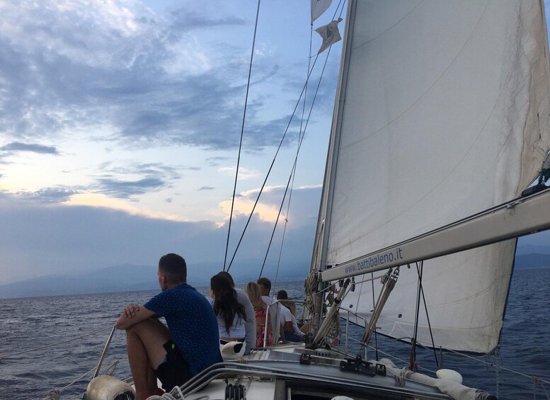 Picture 3 for Activity Sanremo: Sailing in the Pelagos Sanctuary in the wake of the whales 3