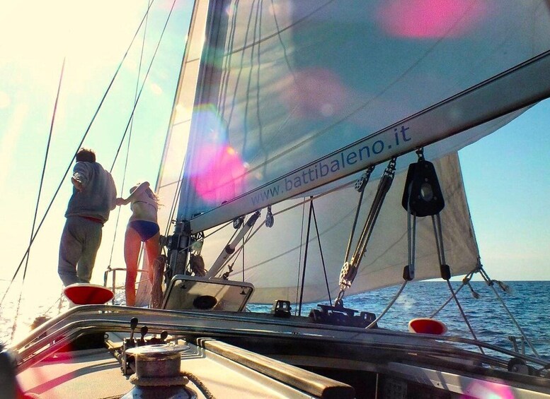Sanremo: Sailing in the Pelagos Sanctuary in the wake of the whales 1