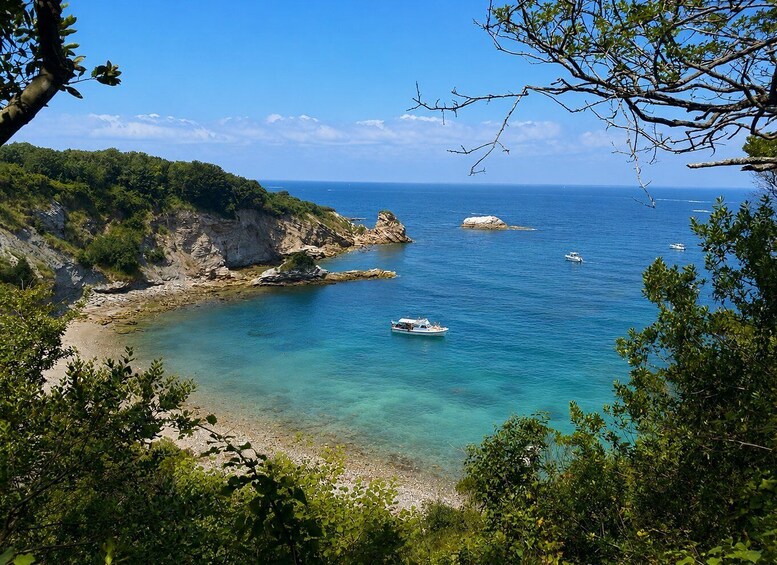 Sea trip along the Basque Coast 1
