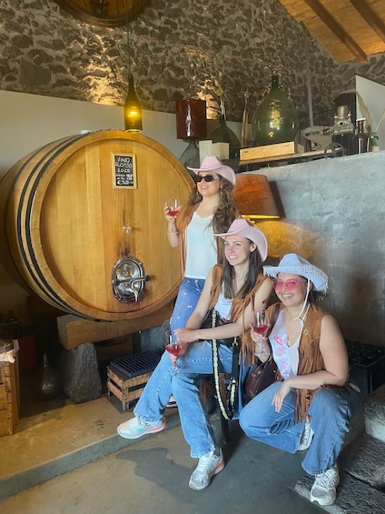 Picture 2 for Activity Etna Jeep Tour: Lava and Wine from Catania – Catania Harbor – Taormina – Etna 3