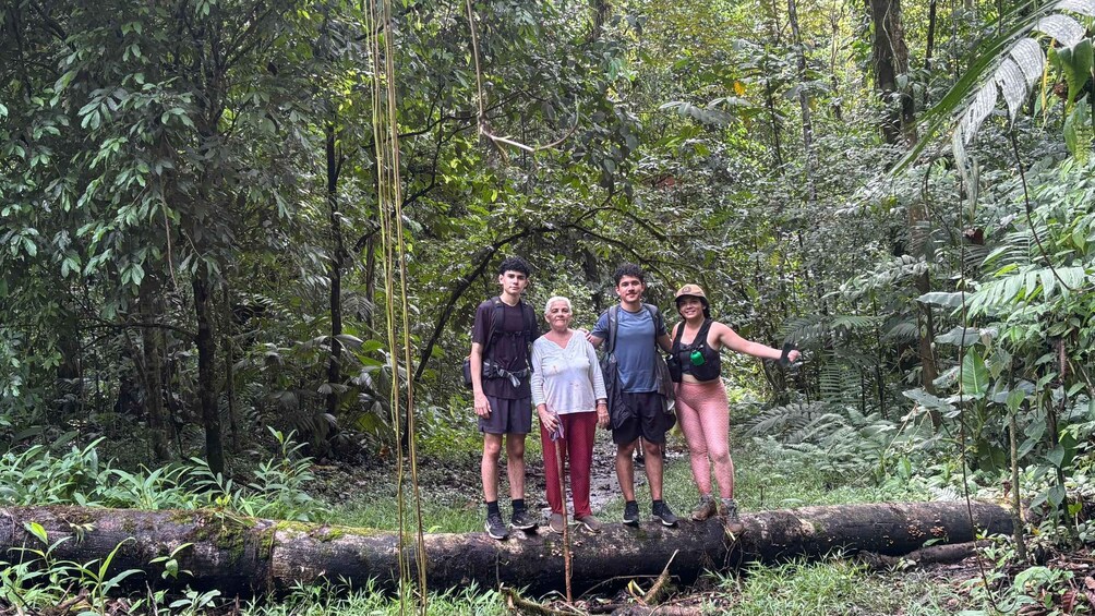 A group of people standing on a fallen tree trunk in a dense forest. 3