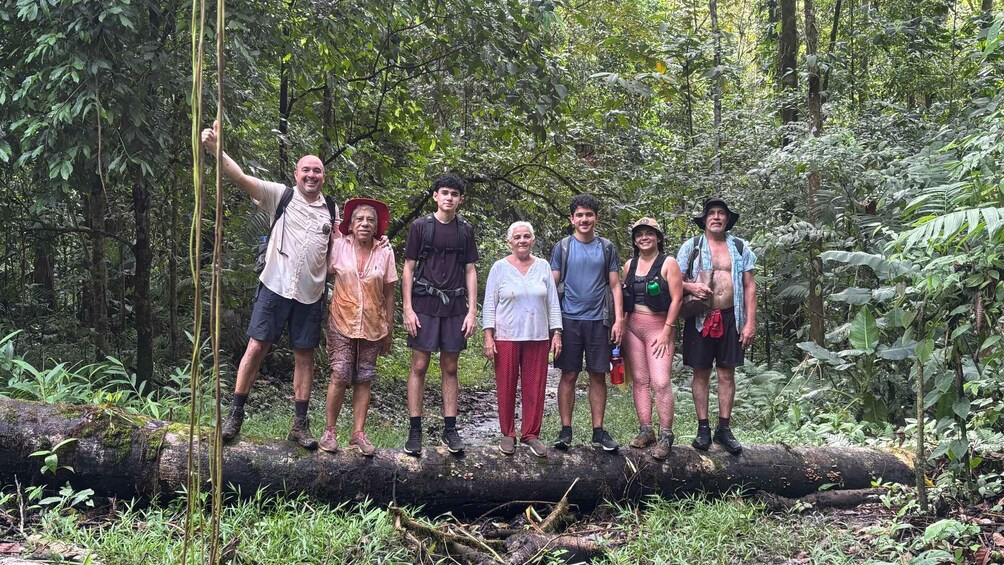 A group of people standing on a fallen tree in a forest. 2