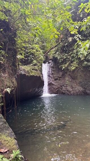 Picture 17 for Activity Corcovado National Park: 1-day tour of La Estación Los Patos 4