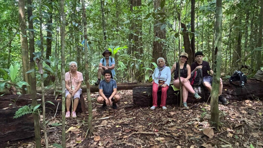A group of people sitting on a log in a forest. 5