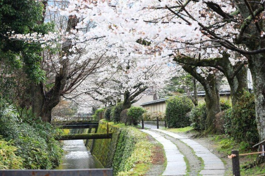 Kyoto Ginkaku-ji and Philosopher's Path Walk with Tea Social 5