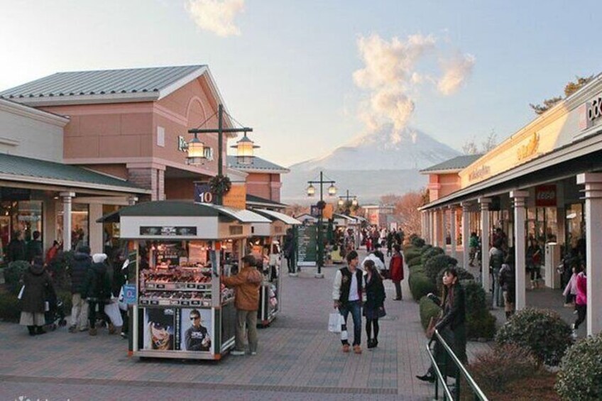 Hakone Private Day Tour from Tokyo Fully Customizable 3