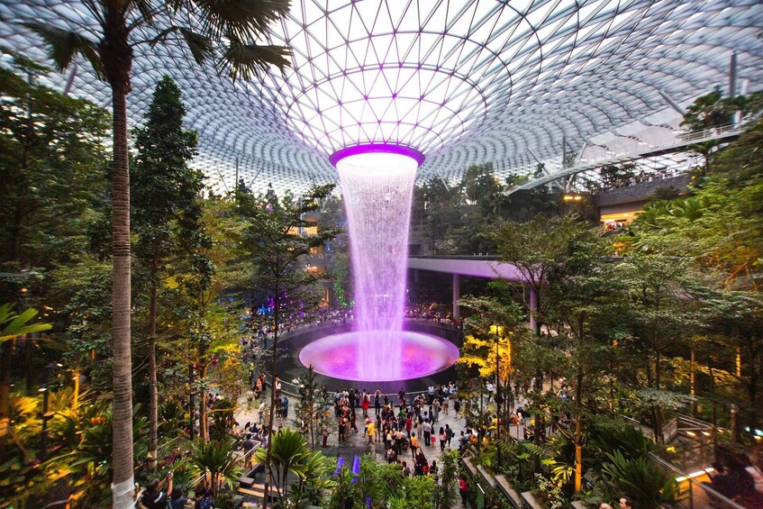 Singapore Welcome: Jewel Changi Customized Private Tour 1
