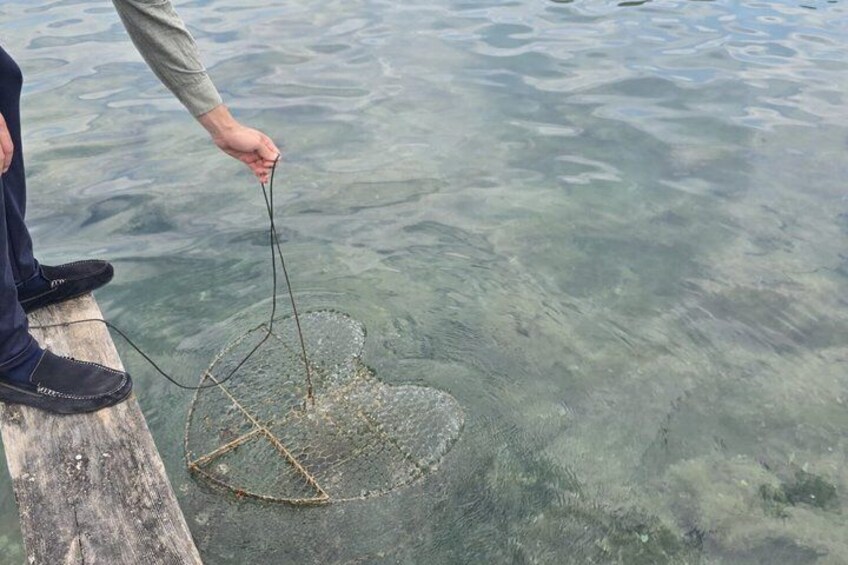 A person holding a fishing net over water. 4