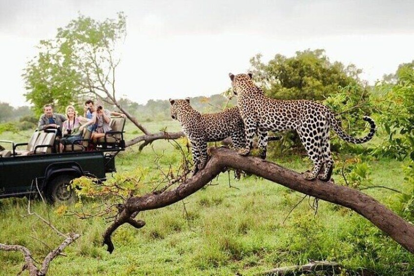 Colombo Private 21-Day Tour by Car 5