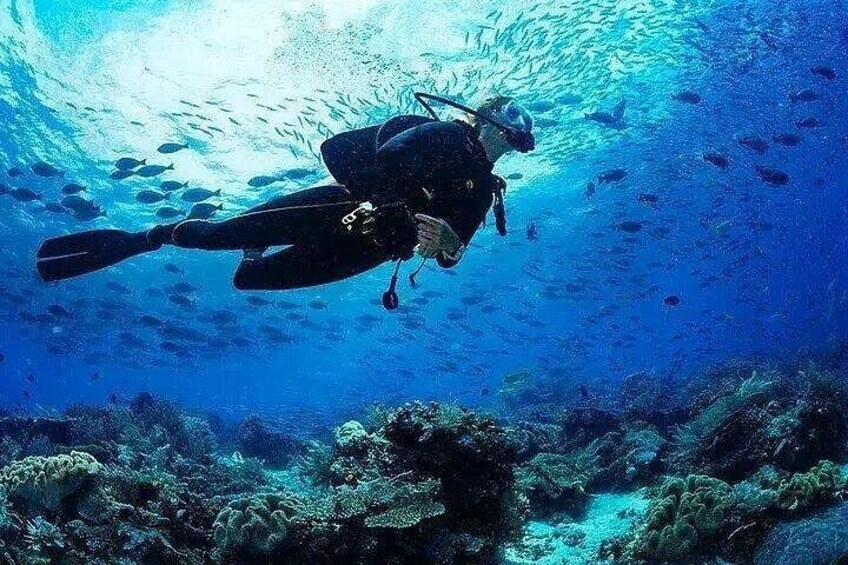 A diver underwater with a coral reef and fish in the background. 2