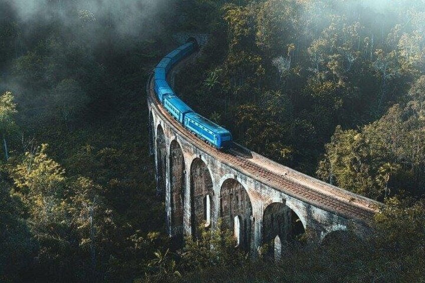 A train on a bridge surrounded by forest. 3