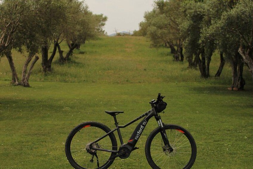 Costa Brava E-Bike Tour with Olive Oil Mill Visit and Breakfast 5
