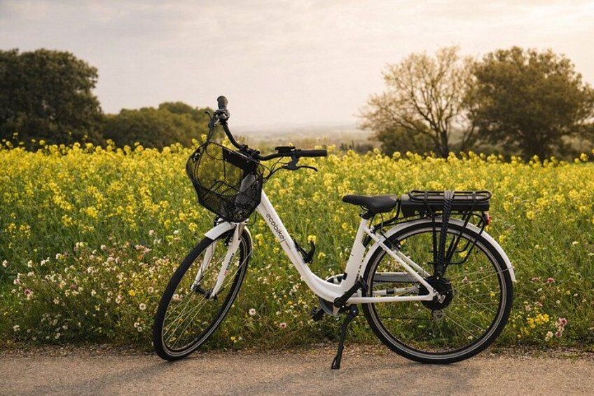Costa Brava E-Bike Tour with Olive Oil Mill Visit and Breakfast 4