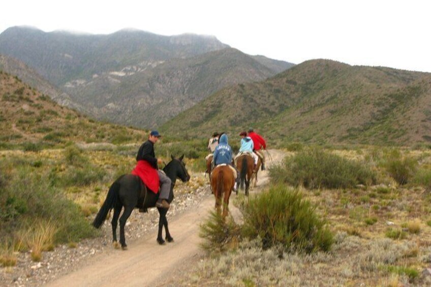Sierras de Encalada Horse Ride Experience with Dinner 1