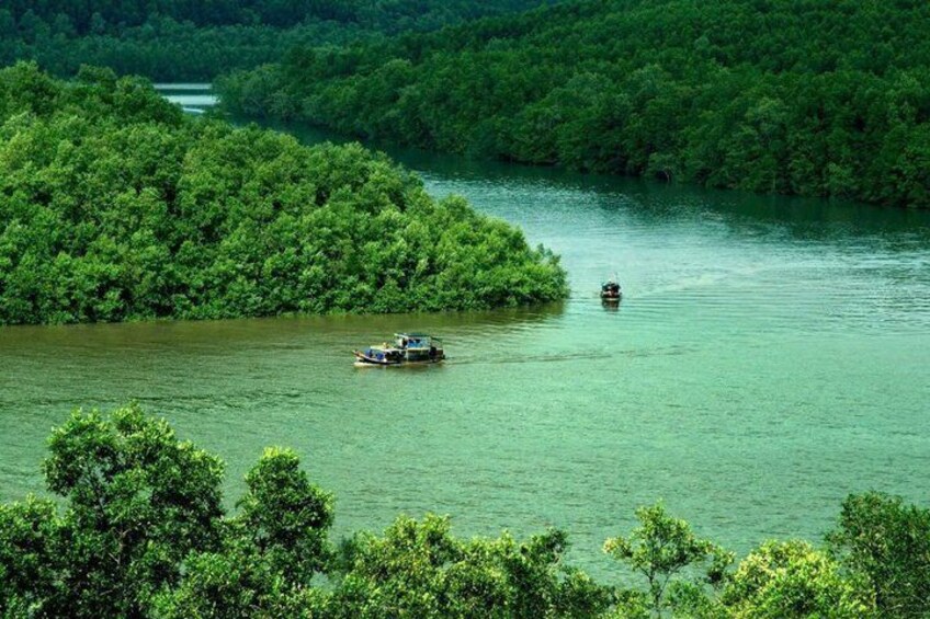 A river with boats, surrounded by dense green forest. 2
