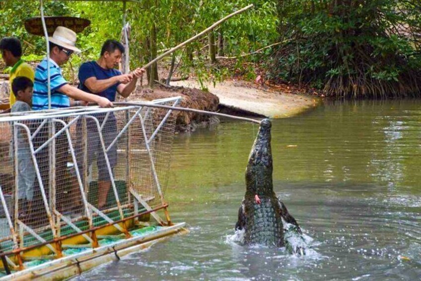 A crocodile emerging from the water, a boat with people observing, and a natural riverbank. 3