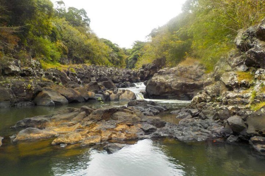 Speedboat Adventure to Île aux Cerf with Lunch, drink & waterfall 5