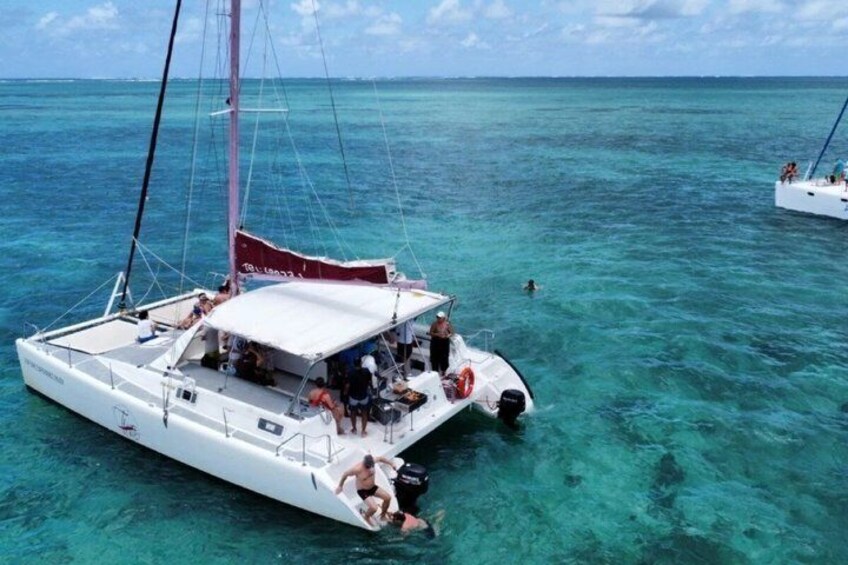 Catamaran Cruise to Île aux Bénitier with BBQ Lunch and Open Bar 2